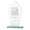 Victory Jade Glass Award 235mm  (8mm Thick)