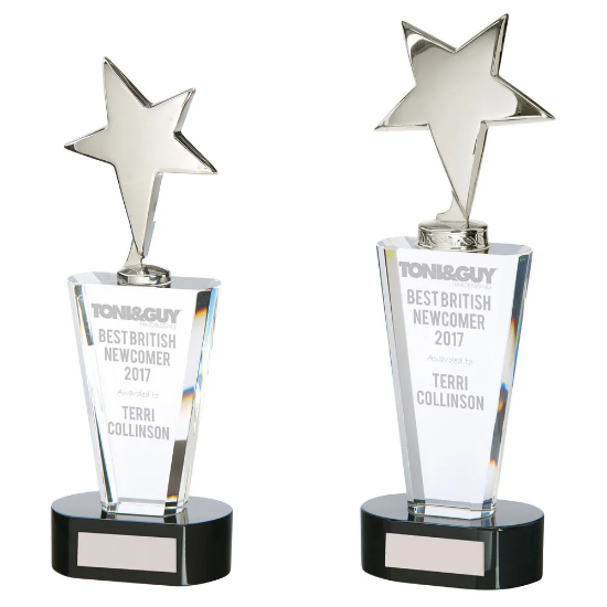 Chicago Crystal & Chrome Award