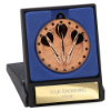 Cascade Stars Darts Medal & Box Bronze 50mm