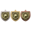 Cobra Well Done Shield Medal