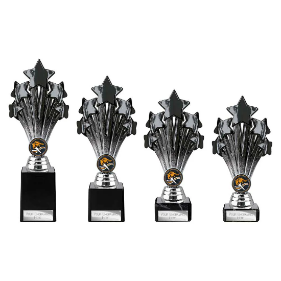 5 Star Trophy Black and Silver