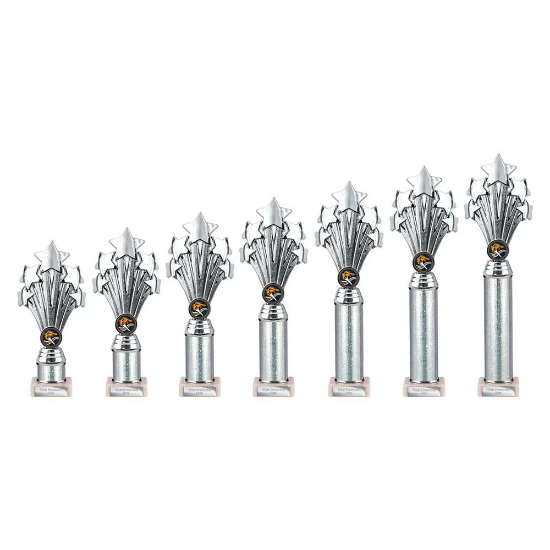 5 Star Multisport Tube Trophy Silver