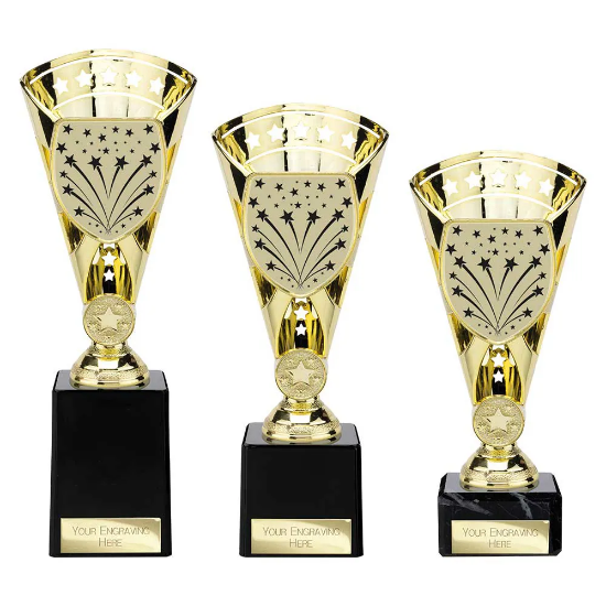 Cobra Star Multisport Cup Gold