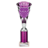 Cobra Star Multisport Tube Trophy Silver & Purple 280mm