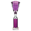 Cobra Star Multisport Tube Trophy Silver & Purple 305mm