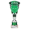 Cobra Star Multisport Tube Trophy Silver & Green 230mm