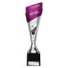Predator Trophy Silver & Purple 260mm