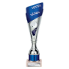 Predator Multisport Tube Trophy Silver & Blue 260mm