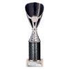 Rising Stars Plastic Trophy Black 255mm