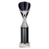 Rising Stars Plastic Trophy Black 280mm