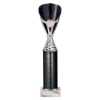 Rising Stars Plastic Trophy Black 305mm