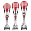 Eclectic Trophy Silver & Red