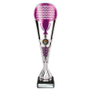 Eclectic Trophy Silver & Purple 330mm