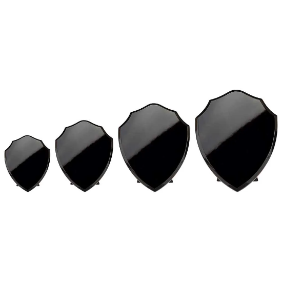 Reward Shield Epic Black