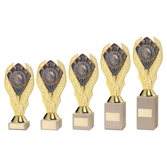 GOLD HOLDER + PLAYER OF THE MATCH DISC & CREAM MARBLE TROPHY (1in CEN)