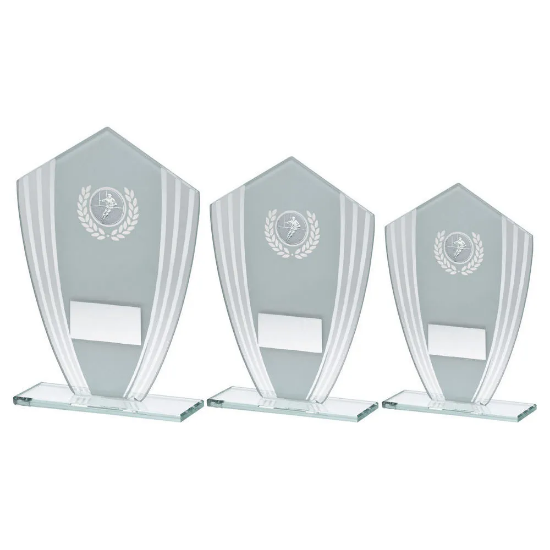 WHITE/SILVER GLASS SHIELD PLAQUE WITH RUGBY INSERT & PLATE