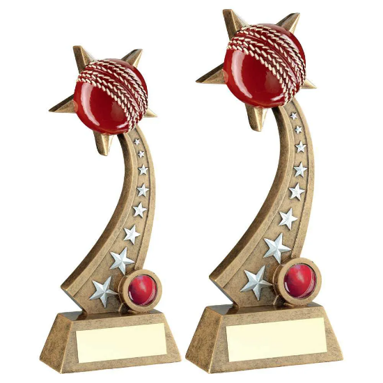 BRZ/PEW/ CRICKET BALL ON STAR TRAIL WITH PLATE (1in CENTRE)