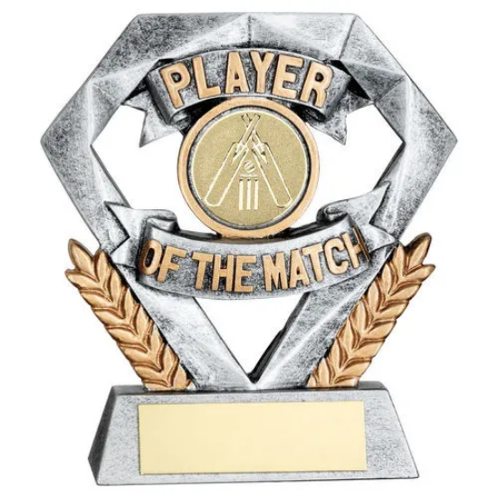 PEW/GOLD PLAYER OF THE MATCH MINI DIAMOND WITH CRICKET INSERT & PLATE - 4in
