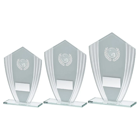 WHITE/SILVER GLASS SHIELD PLAQUE WITH NETBALL INSERT & PLATE