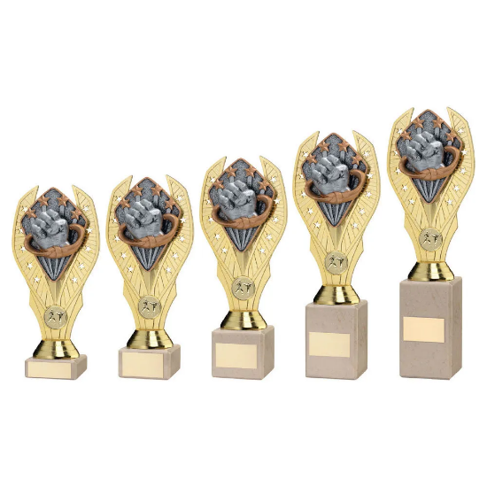GOLD PLASTIC HOLDER + MARTIAL ARTS DISC ON CREAM MARBLE TROPHY (1in CEN)