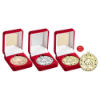 VELVET BOX AND 50mm MEDAL MARTIAL ARTS TROPHY SILVER