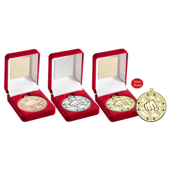 VELVET BOX AND 50mm MEDAL MARTIAL ARTS TROPHY SILVER