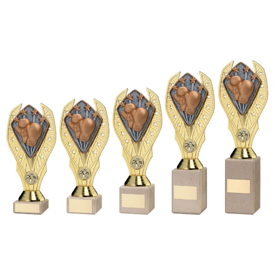 GOLD PLASTIC HOLDER + BOXING DISC ON CREAM MARBLE TROPHY (1in CEN)