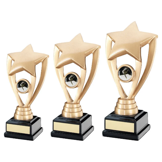 GOLD/BLACK SHOOTING STAR WITH FEMALE GYM INSERT AND PLATE