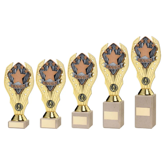 GOLD PLASTIC HOLDER + WINNER DISC ON CREAM MARBLE TROPHY (1in CEN)