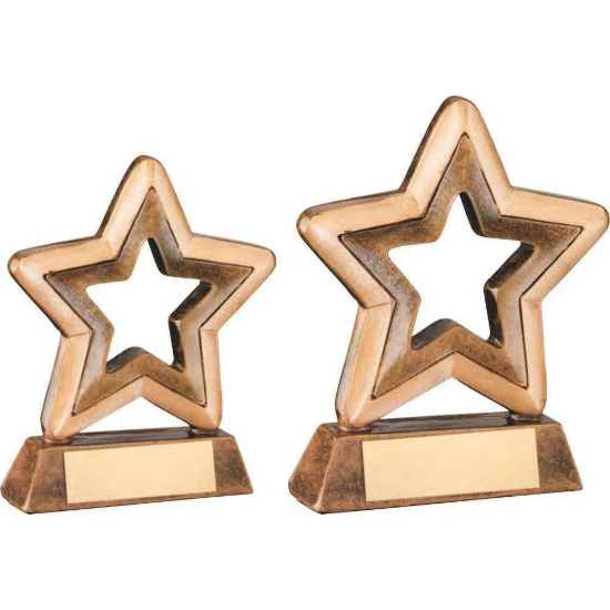 BRZ/GOLD RESIN GENERIC MINI STAR WITH PLATE