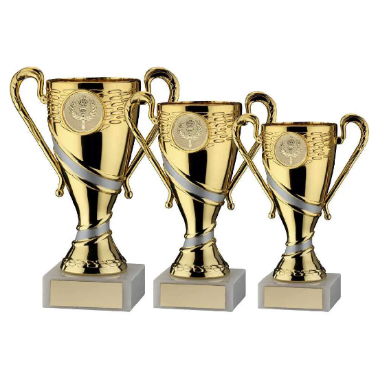 GOLD/MATT SILVER PLASTIC TROPHY CUP WITH PLATE (1in CENTRE)