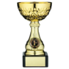 GOLD MINI ASSEMBLED TROPHY CUP WITH PLATE (1in CENTRE) - 5.75in