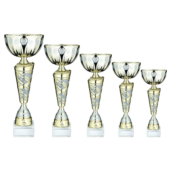 GOLD/MATT SILV TROPHY CUP WITH PLATE