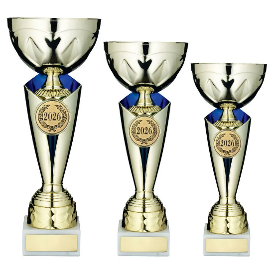 GOLD/ TROPHY CUP WITH PLATE (2in CENTRE)