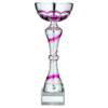SILVER/PINK TROPHY CUP WITH PLATE - 10in