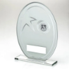 WHITE/SILVER PRINTED GLASS OVAL WITH KARATE INSERT AND PLATE - 7.25in