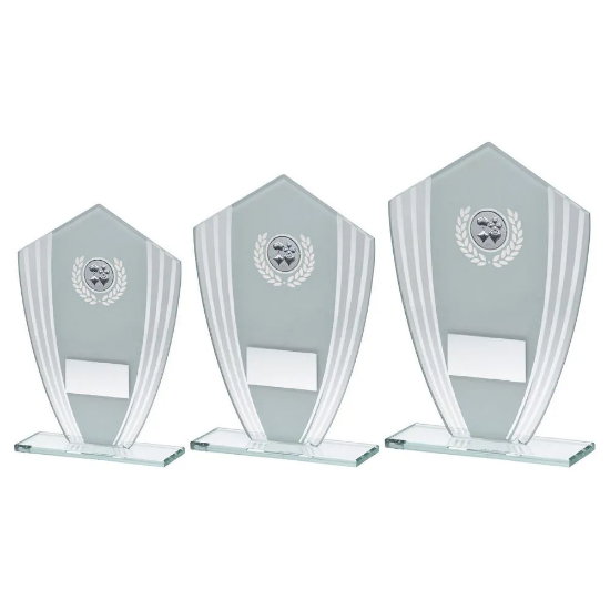 WHITE/SILVER GLASS SHIELD PLAQUE WITH CARDS INSERT & PLATE