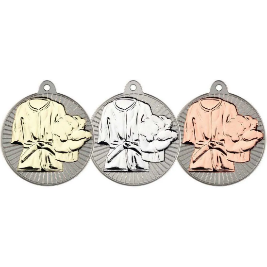 MARTIAL ARTS TWO COLOUR MEDAL MATT SILVER/SILVER