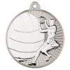 NETBALL TWO COLOUR MEDAL MATT SILVER/SILVER - 2in