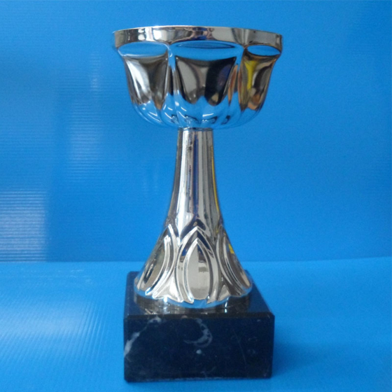 Recognition Cup 195mm