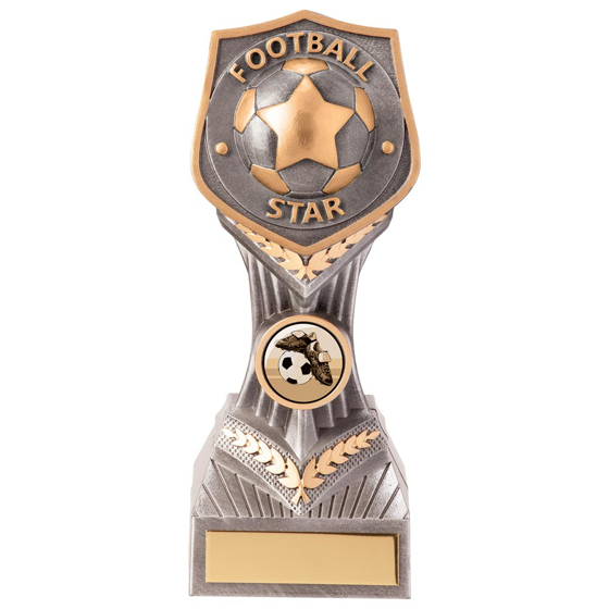 Falcon Football Star Award 190mm