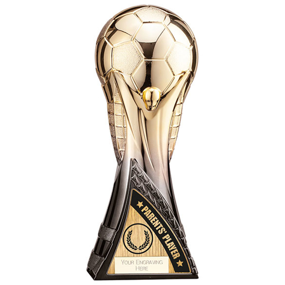 World Trophy Heavyweight Parents Player Gold/Black 250mm