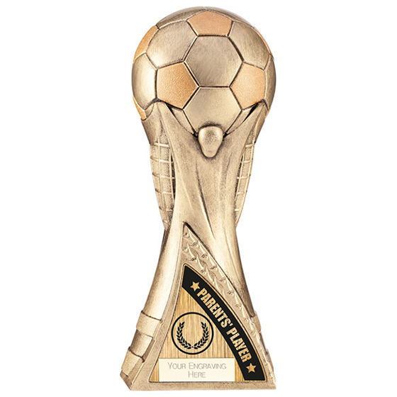 World Trophy Heavyweight Parents Player Antique Gold 250mm