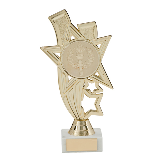 Apollo Gold Multi-Sport Trophy 160mm