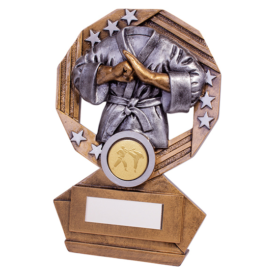 Enigma Martial Arts Award 155mm