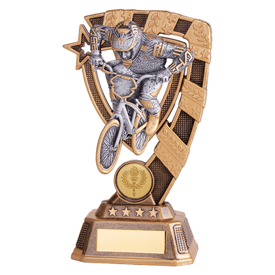 Euphoria BMX Award 180mm