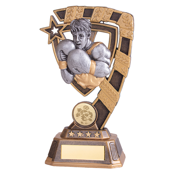 Euphoria Boxing Award 180mm