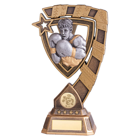 Euphoria Boxing Award 210mm