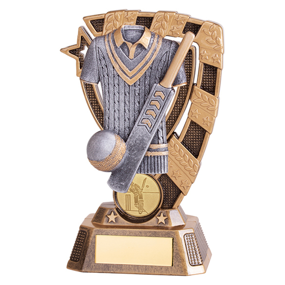 Euphoria Cricket Award 150mm