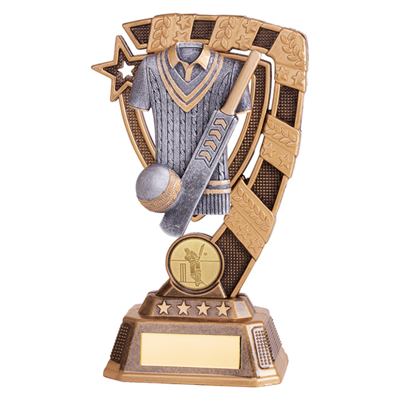 Euphoria Cricket Award 180mm